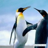 Foto de perfil de mariopvladimir