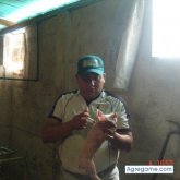 Foto de perfil de diegodelavega