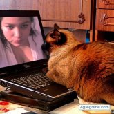 SANGREAZTEKA foto #60