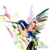 diegoroble1826 chico soltero en Nogales