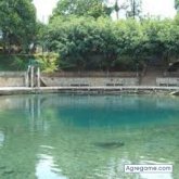 max83 chico soltero en Orizaba