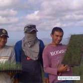 gheobardo foto #23