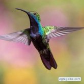 poncianojimenez chico soltero en Loma Bonita