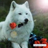 ruddy656551 chico soltero en La Paz