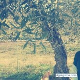 chica95 chica soltera en Fuentes De Andalucia