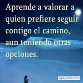 josesanchez8878 chico soltero en León