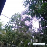 Foto de perfil de juancho051873