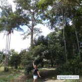 gigistar125 chica soltera en 