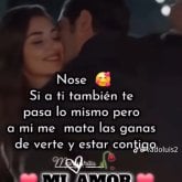 Juanvicente22447412