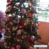 roberg10 chico soltero en Antiguo Cuscatlán