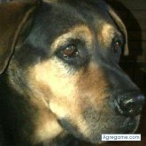 xemy1515 chico soltero en Tarancon