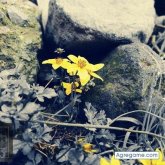 Jairo4596stalin chico soltero en Machachi