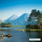 andresmambuca8000 foto #44