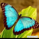 jalisquillo2010 chico soltero en Portland