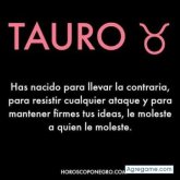 Chatear con felicidadnumeroun de Pampanito