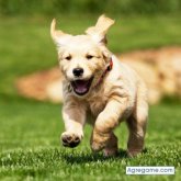 vla500 chico soltero en Rodeo Del Medio