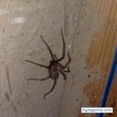 hectormedi87 foto #22