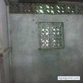 erato1066 chico soltero en Managua