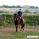 sevillanmanuel chico soltero en Herrera Sevilla