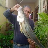 Mujeres. Emprendedor. Conoser mujeres.