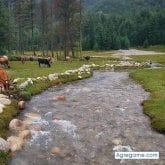 Busco conocer gente. Mujer. Ablo. Verdi.