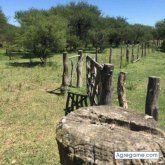 Sigobuscodote chico separado en San Antonio Oeste