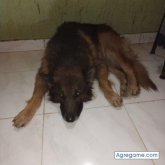 Karth chico soltero en Empedrado