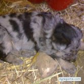 hectormedi87 foto #13