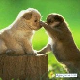 hectormedi87 foto #9