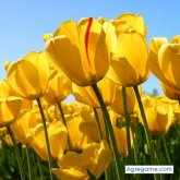 Busco pareja. Mujeres. Alegre. Rumbear.