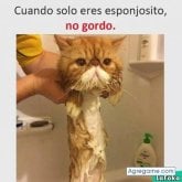 Jorge