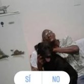 Trabajador. Busco pareja. Busco  mujer