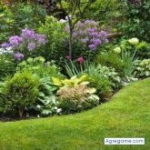 Royeliolopez chico soltero en Dalcahue