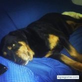 mathiascolman chico soltero en Las Piedras