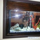 LILIM chica soltera en Güiria