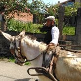 Miliguarda
