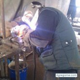 defcon2 chico soltero en Granollers