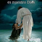 David Noe