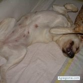 plumas chica casada en Fuenlabrada