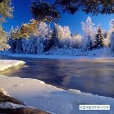 andresmambuca8000 foto #45