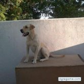 KiKe28 chico soltero en Fuensanta De Martos