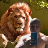 Orangel20_23 foto #10