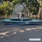 Busco ligar. Honesto. Oír música, ver