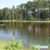 efrainhdz chico separado en Oxford