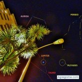 Angelillogrillo foto #6