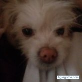 soriahumberto chico soltero en Tlaquepaque