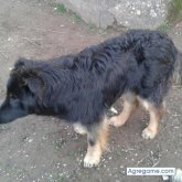 KUTXA chico soltero en Burgos