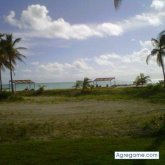 josejavea foto #11