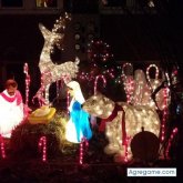 franciscomorocho chico soltero en La Concordia