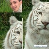 Foto de perfil de DGHACULAR